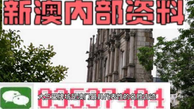 新澳门最新最快最准资料,准确资料解释落实_轻量版0.08