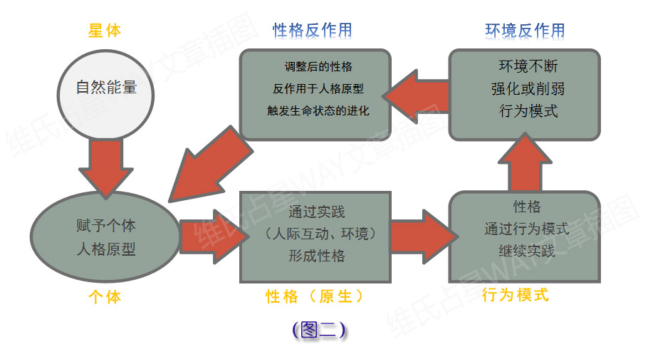 新澳资料免费最新,完善的执行机制解析_vr版2.308